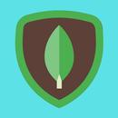 Learn MongoEngine APK