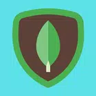 Learn MongoEngine simgesi