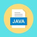 Learn Java Programming APK