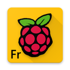 Raspberry Pi French icon