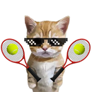 Chat mignon Meme Tennis APK