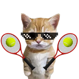 Cute Cat Meme Tennis