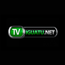 TV Iguatu APK