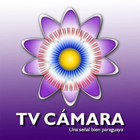 TV Cámara icône