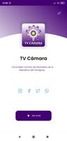 TV Cámara Affiche