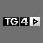 TG4 иконка