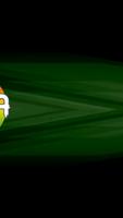 Tv Bolivia ภาพหน้าจอ 2