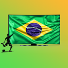 Tv Brasil ícone