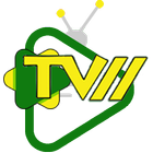 TV11 आइकन