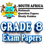 Grade 8 Exam Papers