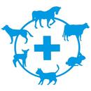 Bluecross APK