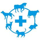 Bluecross 图标