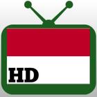 On line Tv Indonesia icône