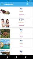 Chinese Vocabulary imagem de tela 3