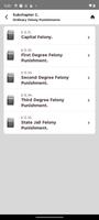 TX Laws - (Texas Statutes) screenshot 2