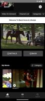 Black Homes & Lifestyles Plakat