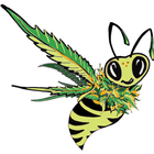 CannaVibes TV-icoon