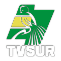 TVSUR CANAL 30