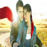 مسلسلات تركي