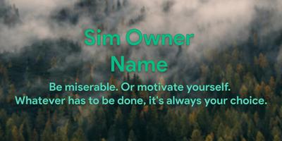 Sim Owner Name bài đăng