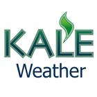 KALE Business Weather icône