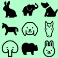 Brain test : zoo