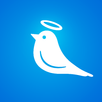 Online with Saints APK