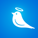 APK Online with Saints