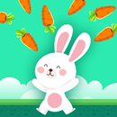 APK Mind your Carrots Clever Bunny