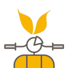 La Tonda Romana icon