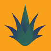 Agave Verona