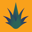 Agave Verona APK