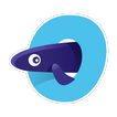 O'OPU POKE