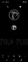 PALM PLUG plakat