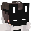 Aesthetic Skin for Minecraft APK