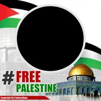 Palestine Photo Frame imagem de tela 1