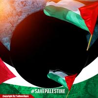 Palestine Photo Frame скриншот 2