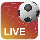 Foot Sat - Chaines Live TV APK