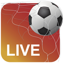 Foot Live Sat - TV Channels APK