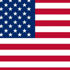 US Constitution ikon