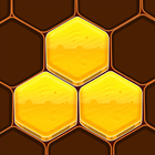 Honeycomb Hexa Block Puzzle icône