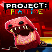 Project Multiplayer Playtime