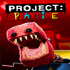 Project Multiplayer Playtime icône