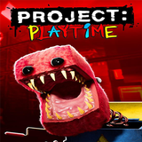 Project Multiplayer Playtime icône