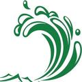 THE GREEN TIDE