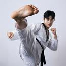 Taekwondo Kicks Training APK