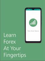 Tolu's Forex Course - Learn Forex Now! Affiche