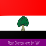 Afaan Oromoo News