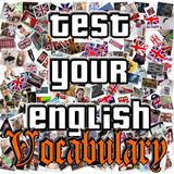 Test Your English Vocabulary icône
