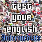 Test Your English II. ícone